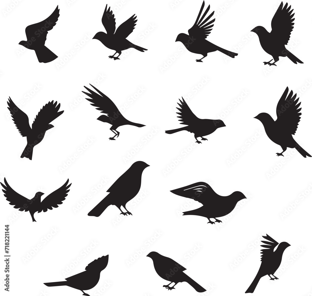 Obraz premium Set of Birds Flying black silhouettes on white background