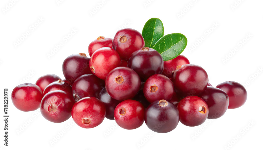 Pile of fresh cranberry fruits - isolated