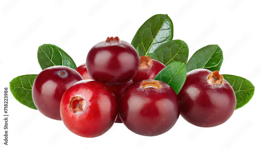 Pile of fresh cranberry fruits - isolated Pile of fresh cranberry fruits - isolated