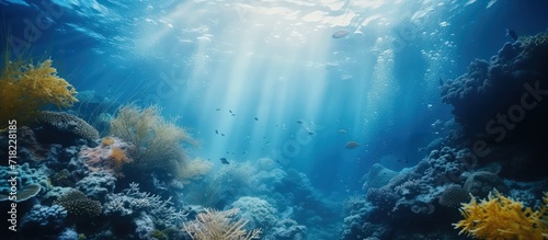 Beautiful undersea scene of blue idyll ocean water nature view landscape. Generate AI image © Leafart