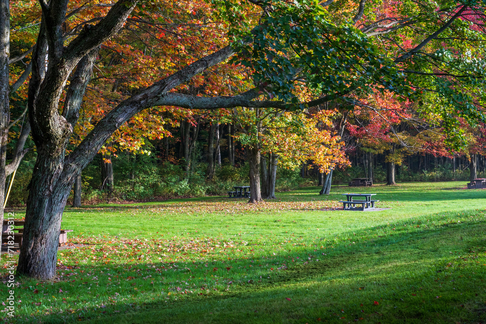 Naklejka premium A picnic area in the fall colors