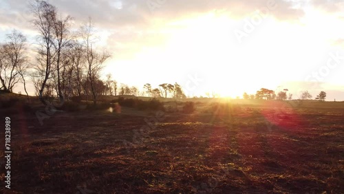 Aerial view of the sunrise over the pastures of Grenspark Kalmthoutse Heide in the northeast of the Belgian countryside in the West Flanders region