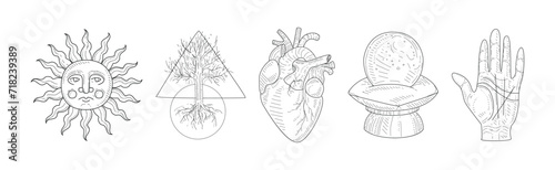 Magic Witch Hand Drawn Object and Element Vector Set