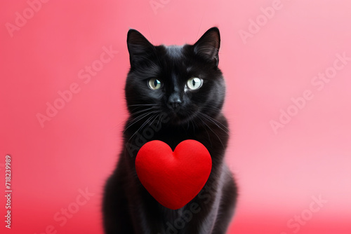 Adorable black cat with a red heart on a pink background. Happy Saint Valentine's Day concept