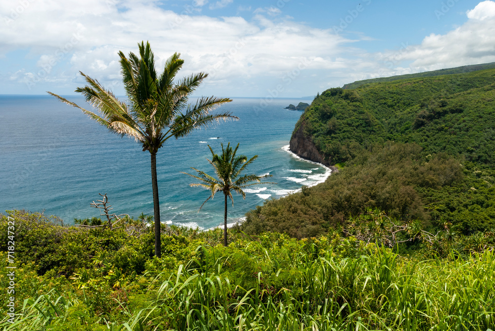 Hawaï landscape
