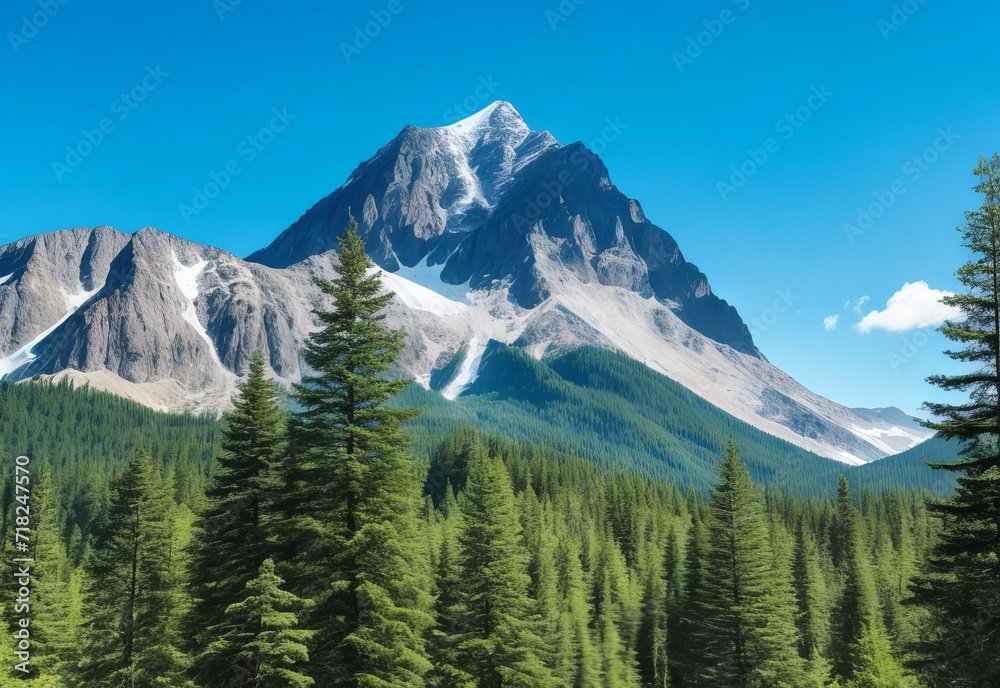 Fototapeta premium Mountain covered by forest and a blue sky