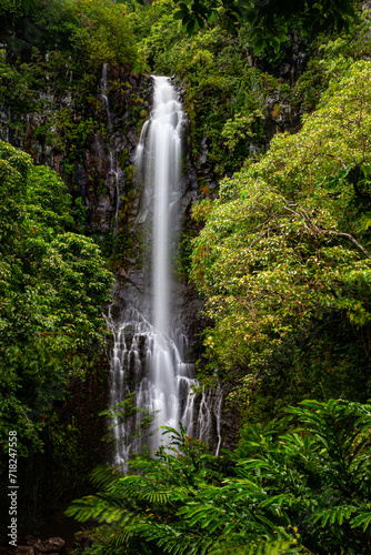 waterfall in the forest