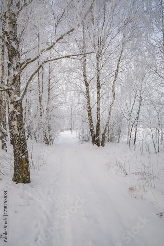 winter in the park © Александр Арендарь
