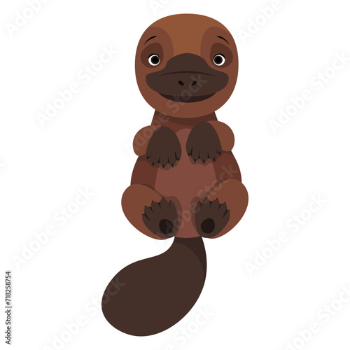Cute Australian platypus lying on its back
