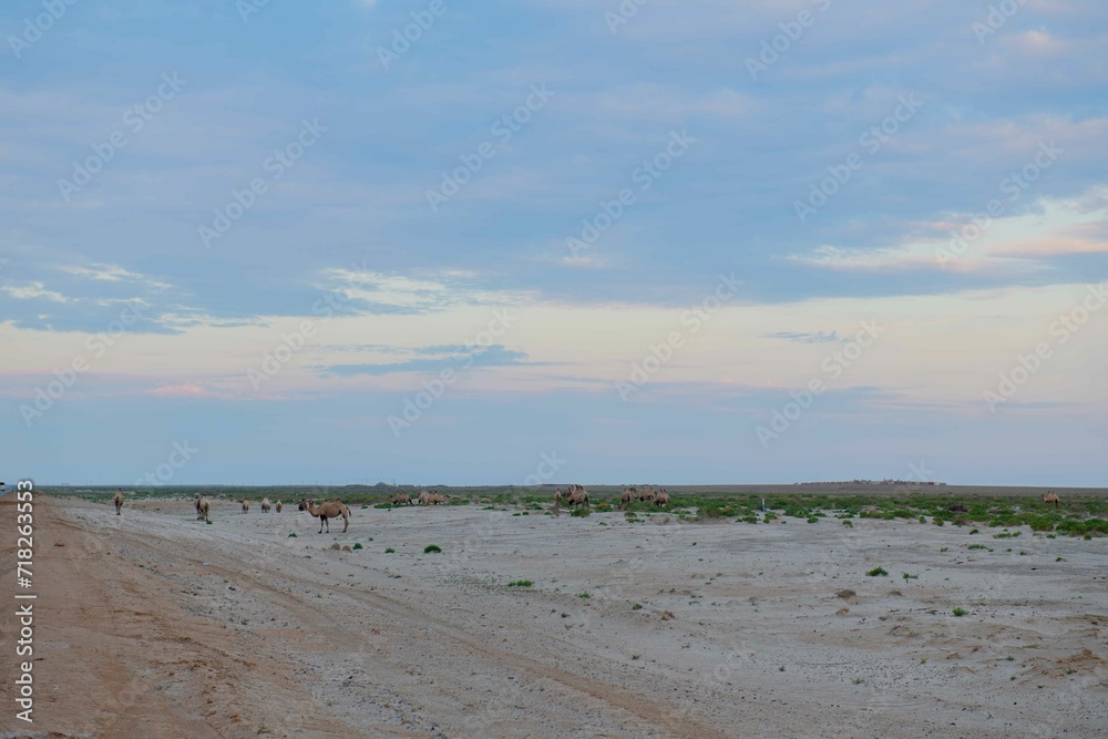 landscape of the steppe of Kazakhstan in Atyrau