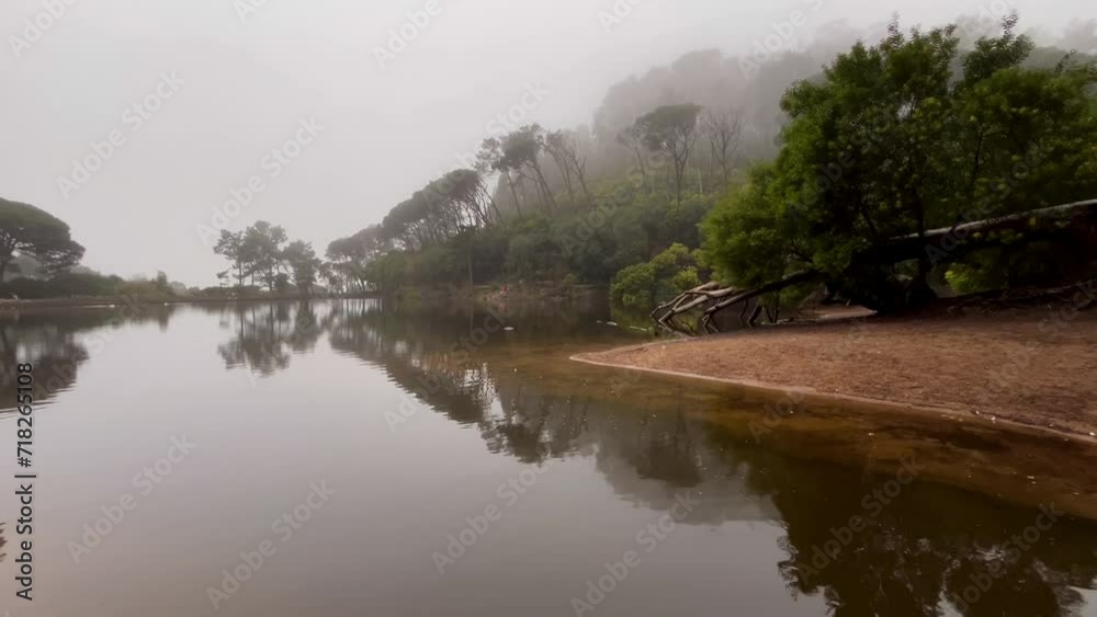 lake in the forest in a foggy morning lake in the forest in a foggy morning