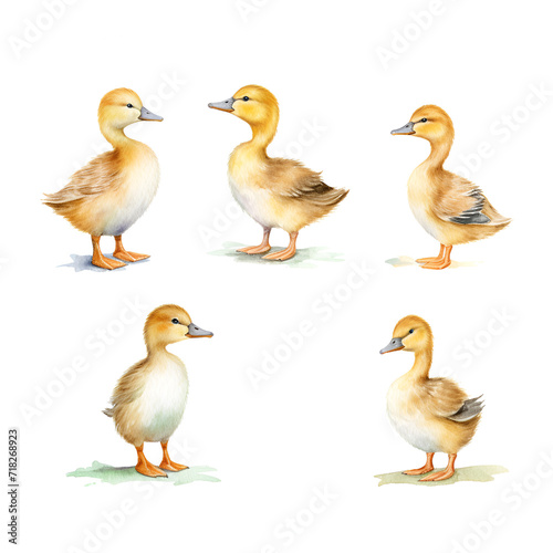 Beautiful Duck Watercolor Clipart, Perfect Design for Your Project and Creations, Ai Generative