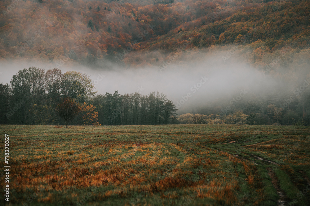A Pictorial Ode to the Sombre Beauty of an Autumn Morning in Solitude