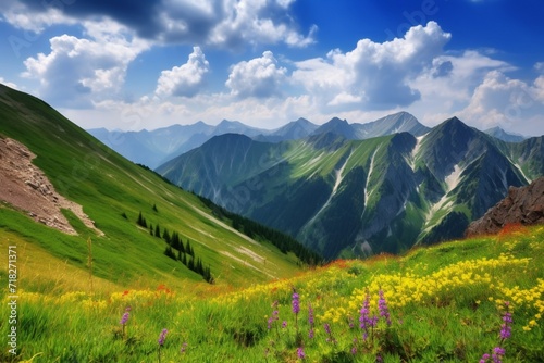 alpine meadow in summer