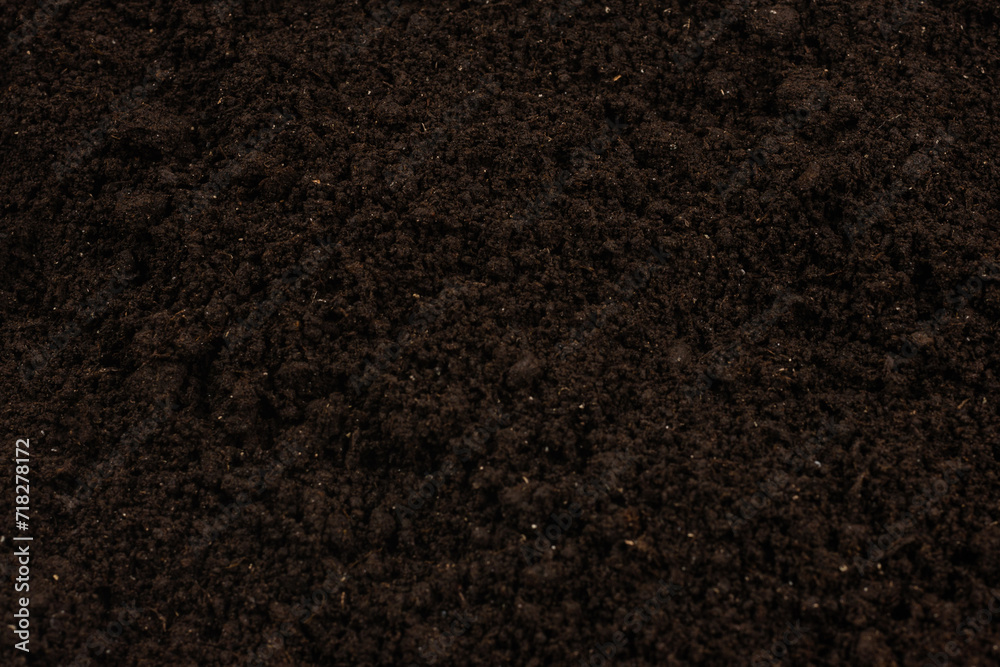 Fototapeta premium Black land for plant background.