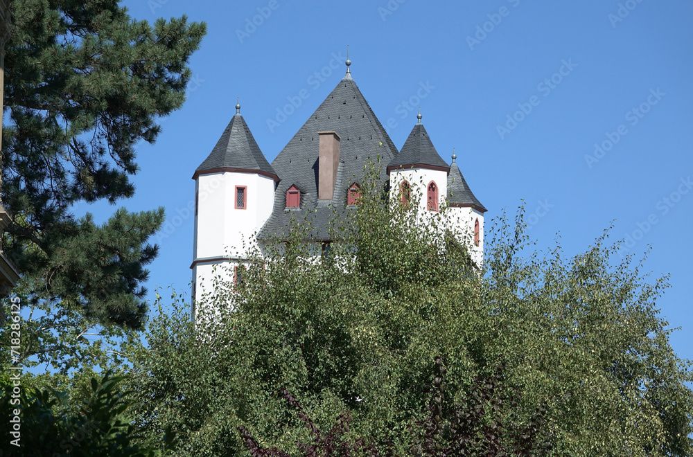 Burg in Eltville Burg in Eltville