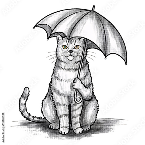 Rainy Day Cat with Umbrella Sketch