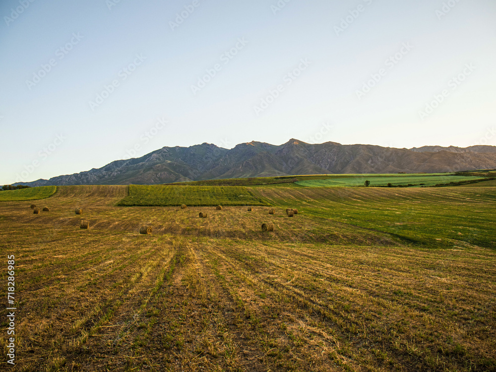 field after harvest, mountains on the horizon, summer sunset