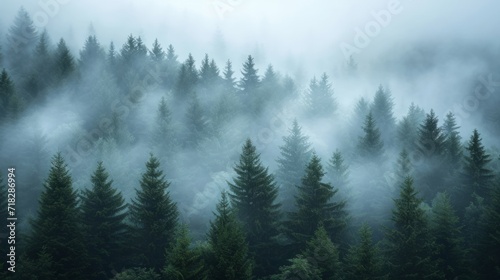 Misty Fir Forest in Vintage Retro Style Generative AI © AlexandraRooss