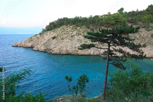 Kueste bei Vrbnik auf Krk photo