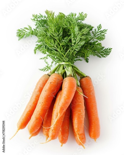 one bunch of fresh carrots with leaves on white background