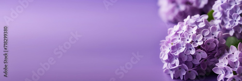 Valentine's Day, International Women's Day, Mother's Day, National Grandmothers Day, purple lilac bouquet, purple background, horizontal web banner, place for text © Svetlana Leuto