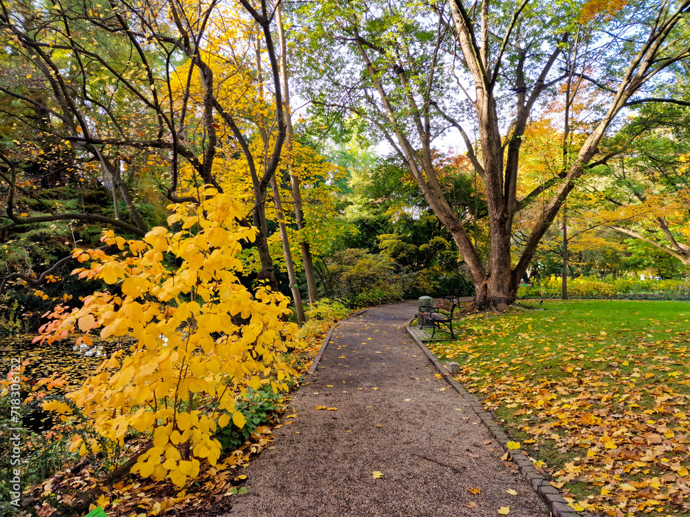 Naklejka premium Botanical garden in autumn. Wroclaw, Poland
