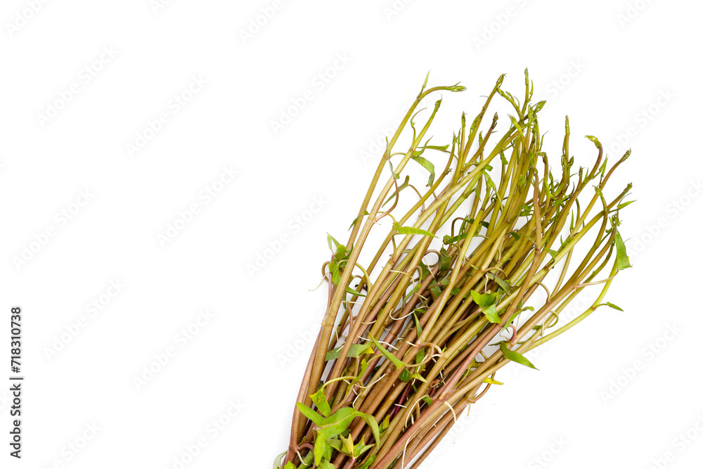 Fotografie Water convolvulus or water spinach on white background.