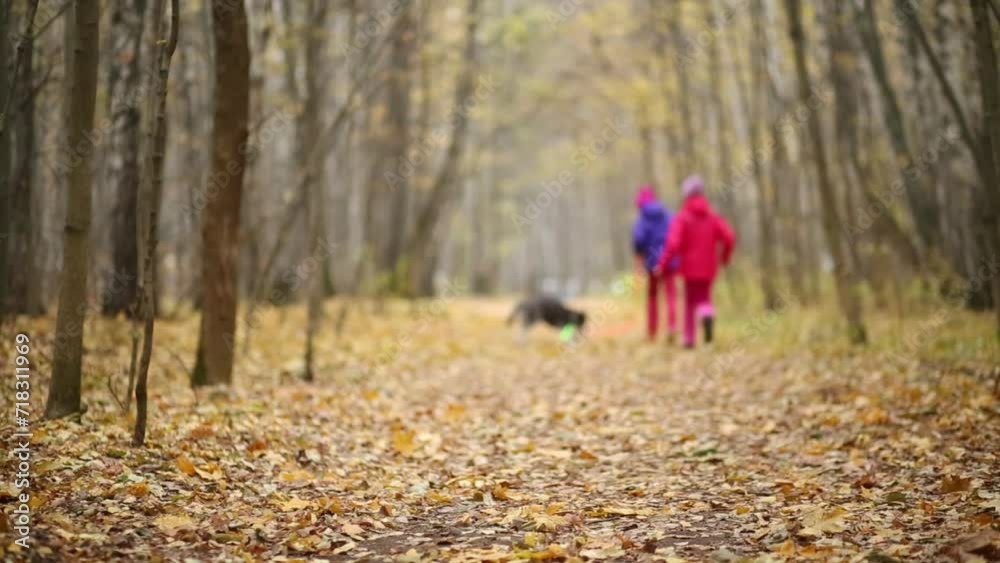 Two girls walking in the autumn forest with the dog Two girls walking in the autumn forest with the dog