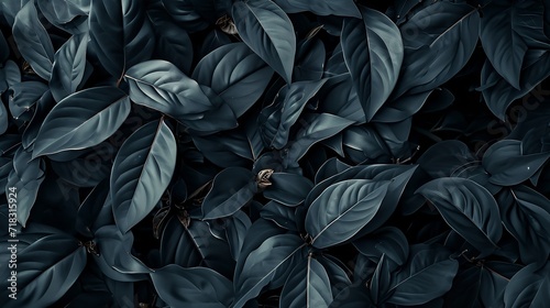 Textures of Abstract Black Leaves for Tropical Background