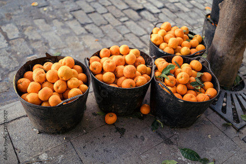 Recogida de naranjas en calle centrica del sur de españa