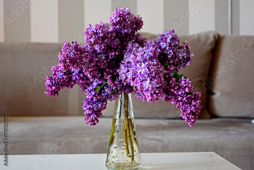 bukiet fioletowych bzów, Syringa, lilaki w wazonie, bouquet of  lilacs in a vase	 photo
