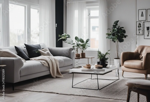 Contemporary Interior Design Background Scandinavian Living Room in White Tones