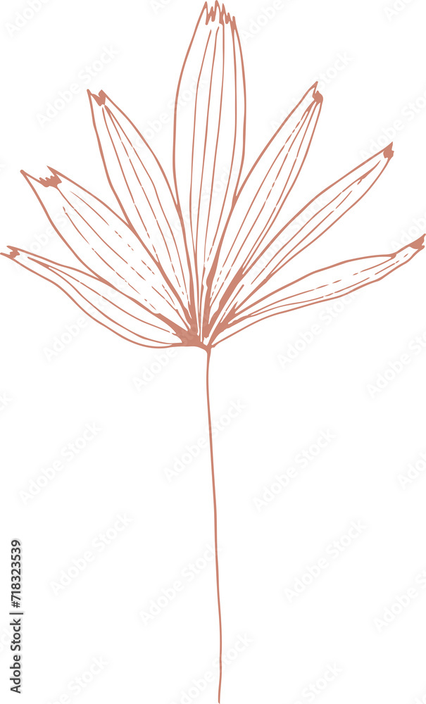 Botanical leaf Botanical leaf