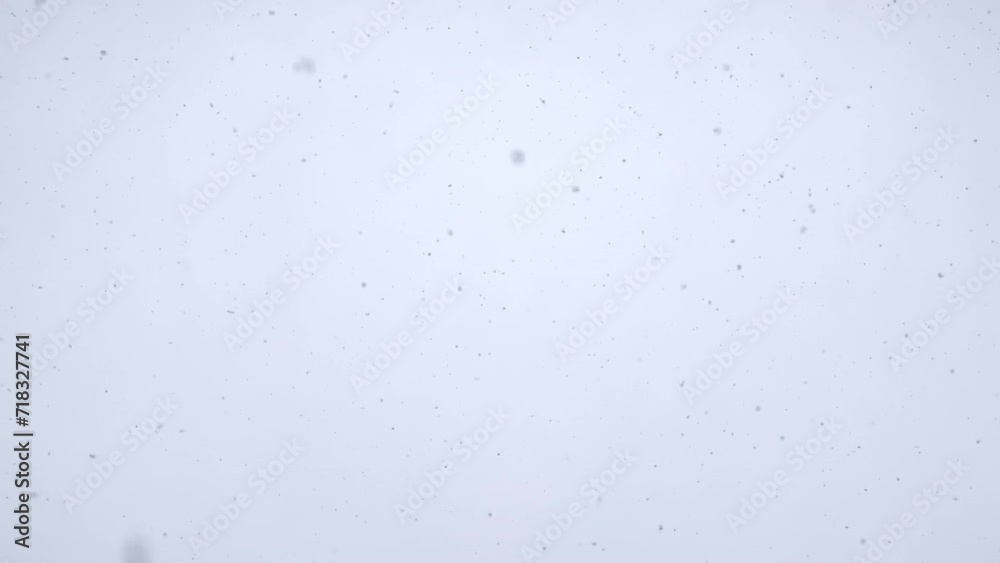 Snowfall in the middle of the day. Snowflakes fall in flakes against the white sky. Snowfall in the middle of the day. Snowflakes fall in flakes against the white sky.
