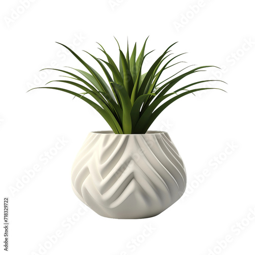 plant in flowerpot