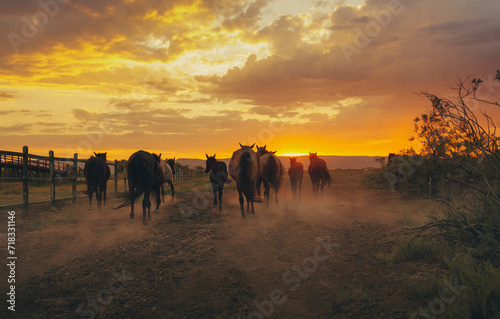 Landscape of wild horses running at sunset with dust in background.