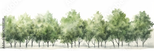 Watercolor Cottonwood Tree Line on White Background Generative AI photo
