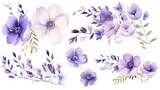 a set of flowers painted in watercolor on a white background, including anemone, anemone, anemone, anemone, and anemone.