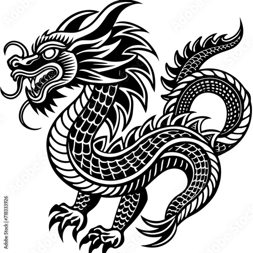 black and white dragon © ergn