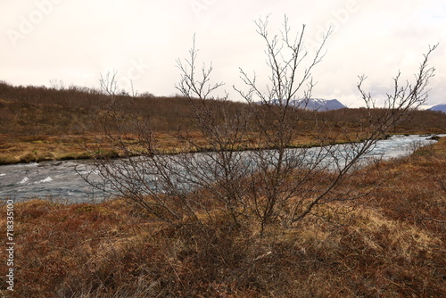 Br  ar   is a spring-fed river in West Iceland which runs by the boundaries of municipalities Biskupstungur and Gr  msnes