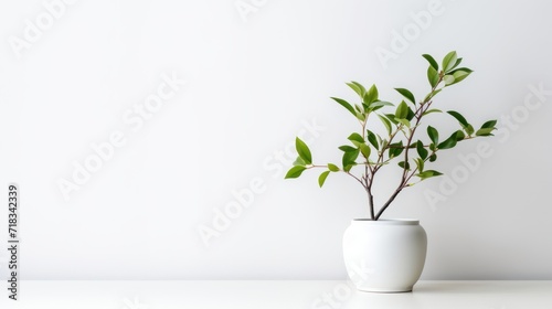  a white vase with a green plant in it on a white table with a white wall behind it and a white wall behind it.