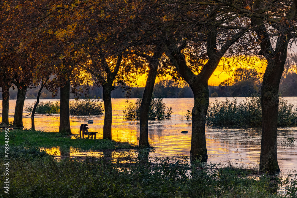A park bench on the Rhine at high tide and sunset A park bench on the Rhine at high tide and sunset