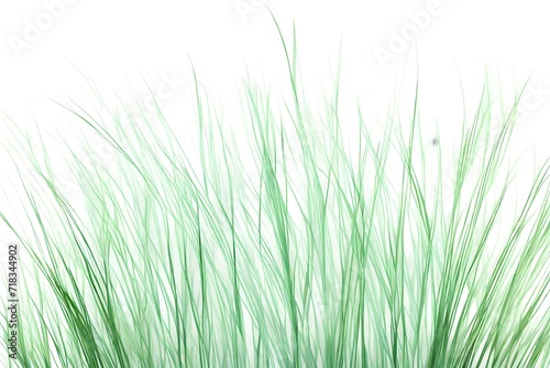 Soft and pastel mint green grass