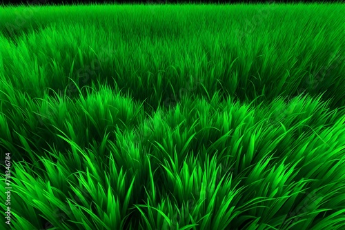 A vibrant and lush emerald green grass isolated on a transparent background