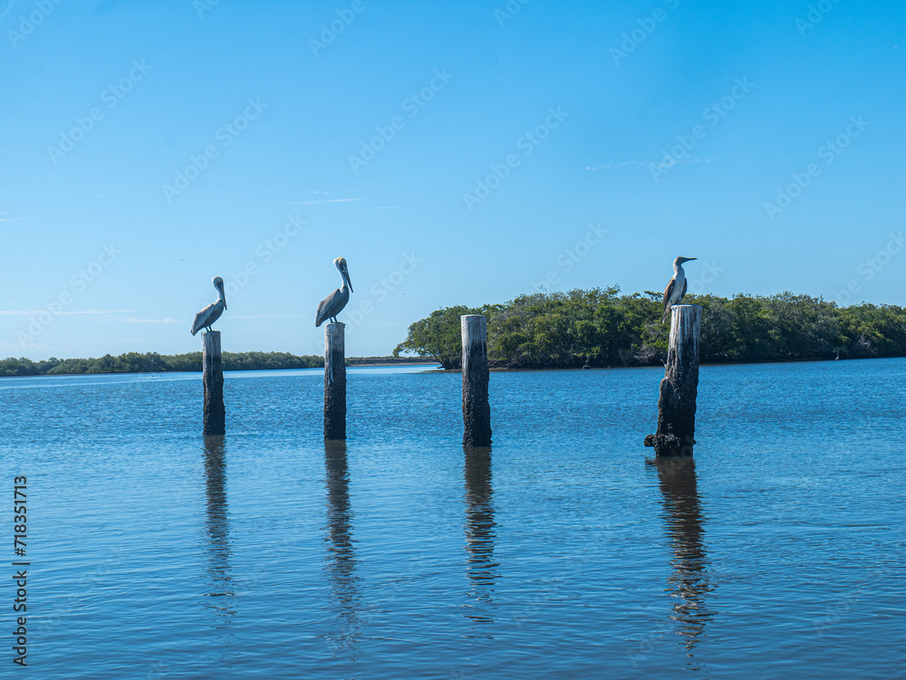 nets on the sea