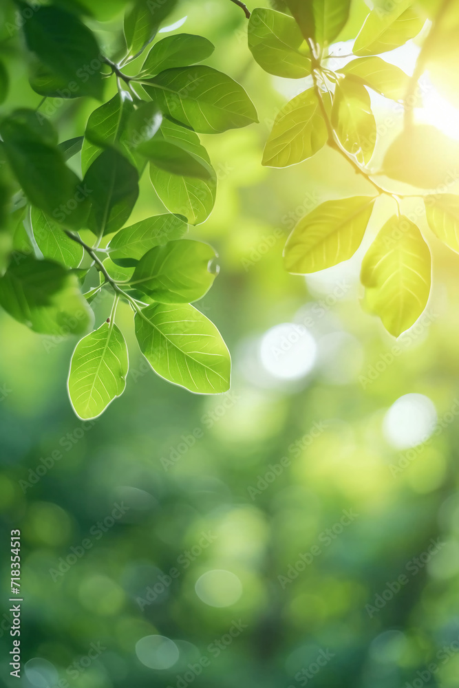 Beautiful nature view of green leaf on blurred greenery background in garden and sunlight. AI generative Beautiful nature view of green leaf on blurred greenery background in garden and sunlight. AI generative