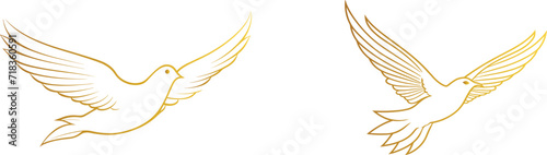 Flying Bird Line Art Vector Illustration set, Animal Outline Sketch, Simple Bird Icon, Avian golden Linear Artwork © LOVE VECTOR