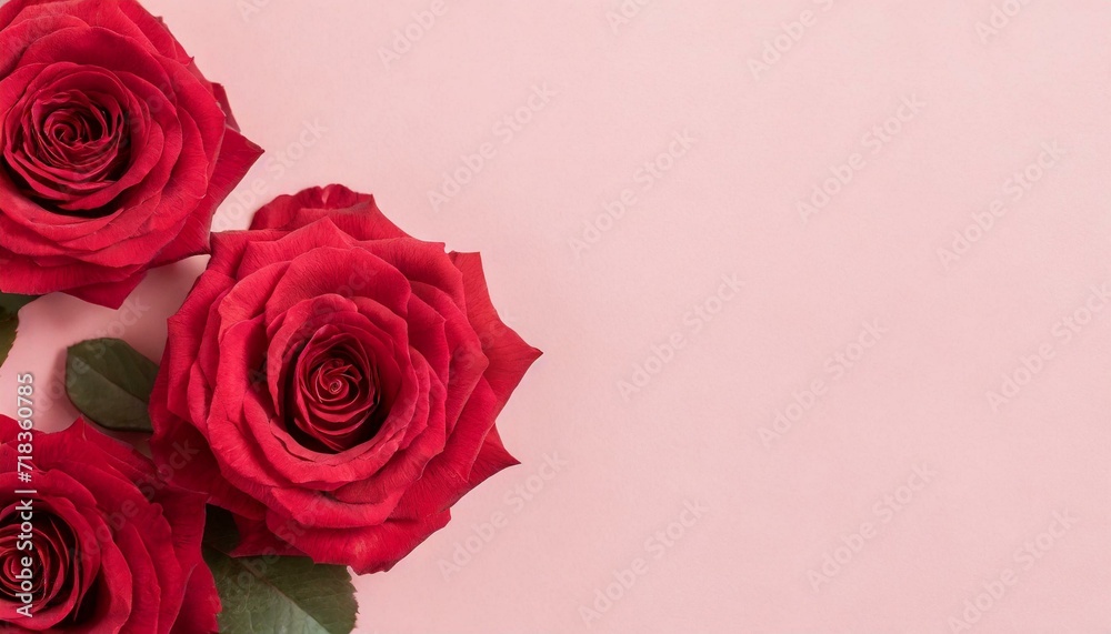 Banner with red rose flower texture. Pink background with copyspace.
Banner with red rose flower texture. Pink background with copyspace.