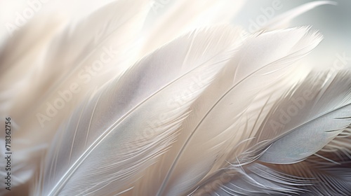  a close up of a white feather with a blurry backgroung of the image in the background.